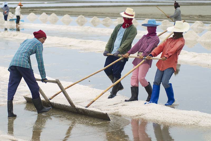 Workers rake dried salt from open air beds