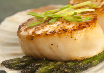 Seared scallop on asparagus with garnish.